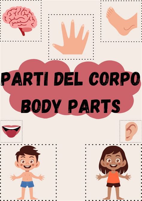 il corpo Flashcards .